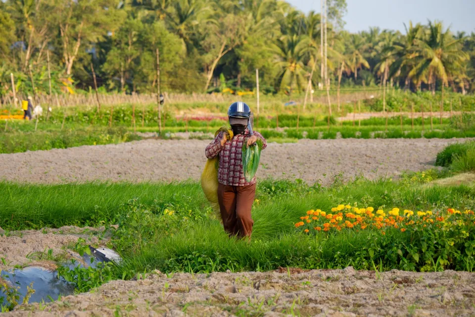 Khu ươm giống