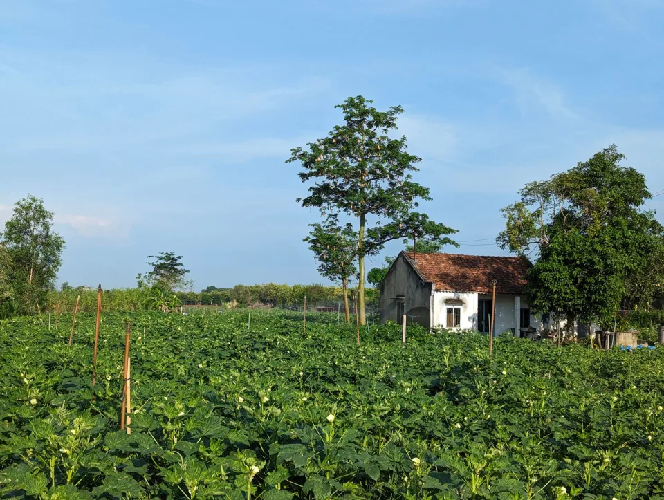 Lớp tập huấn buổi tối